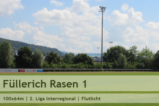 fcmg_sportplatz_fuellerich_rasen_1
