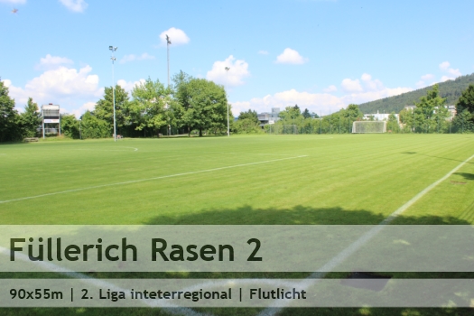 fcmg_sportplatz_fuellerich_rasen_2