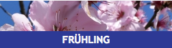 fs-fruehling